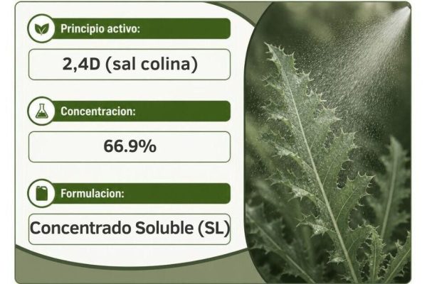 2,4d sal colina