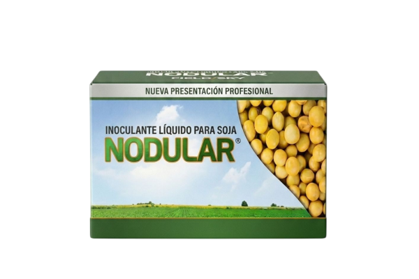 OK NODULAR