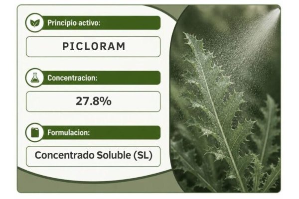 PICLORAM