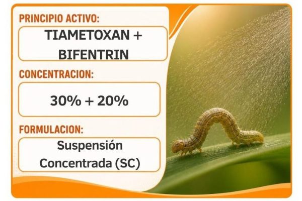Tiametoxan + Bifentrin