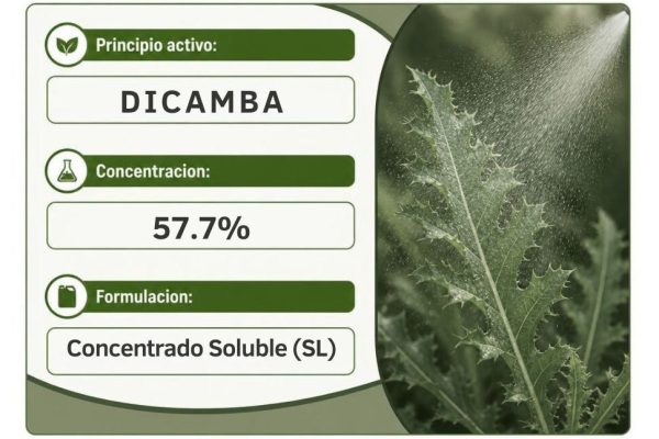 dicamba